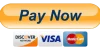 Pay Now